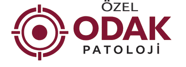 Odak Patoloji Logo